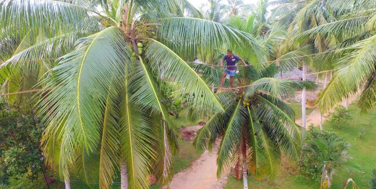 Coco Village Hotel Chilaw Bangadeniya エクステリア 写真